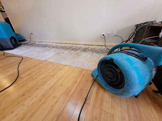 Professional Water Damage Repair technician working in Newport, NH